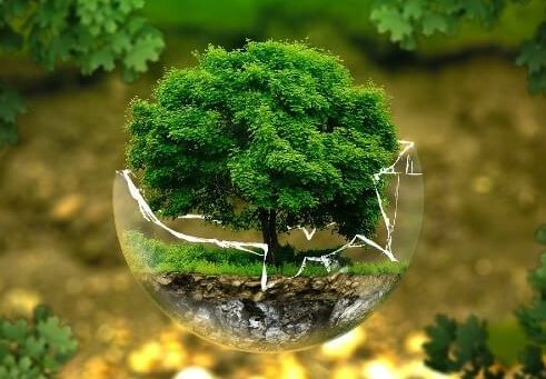 Sustainable living helps to protect nature