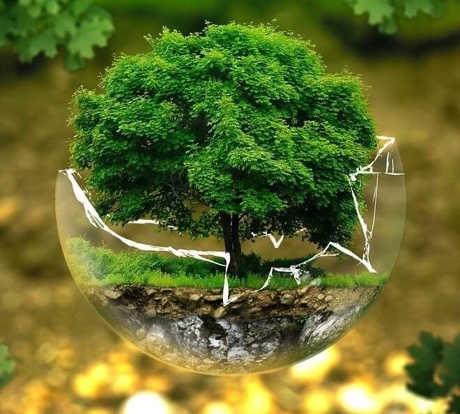 sustainable travel by vegan hotel booking and sustainable hotel booking at ecotels