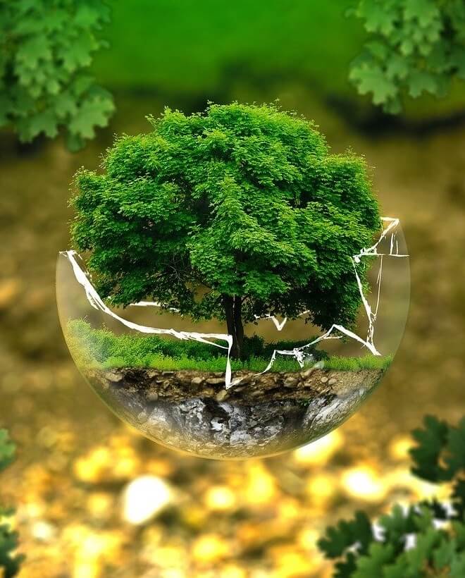 sustainable travel by vegan hotel booking and sustainable hotel booking at ecotels