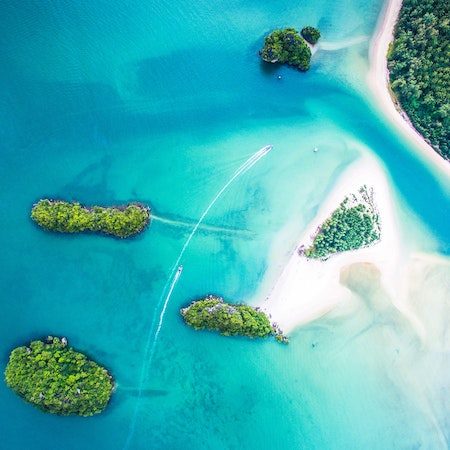 ecotels - sustainable hotels & vegan hotel booking platform - homepage image of green travel